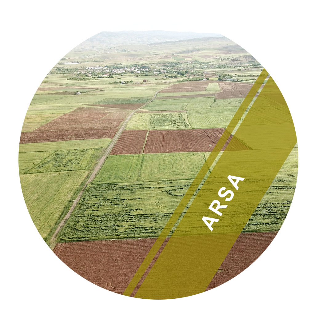 ARSA